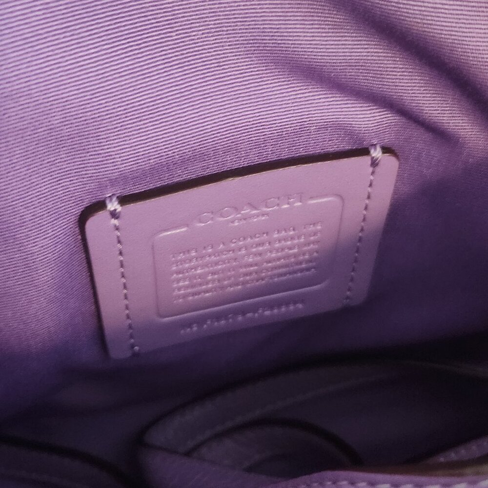 Coach Hand painted Rapunzel Purse - Picture 2 of 4